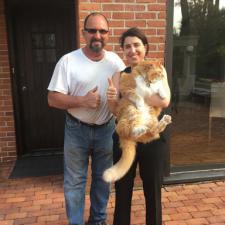 House Washing Project on Pheasant Run in Great Neck, NY 0
